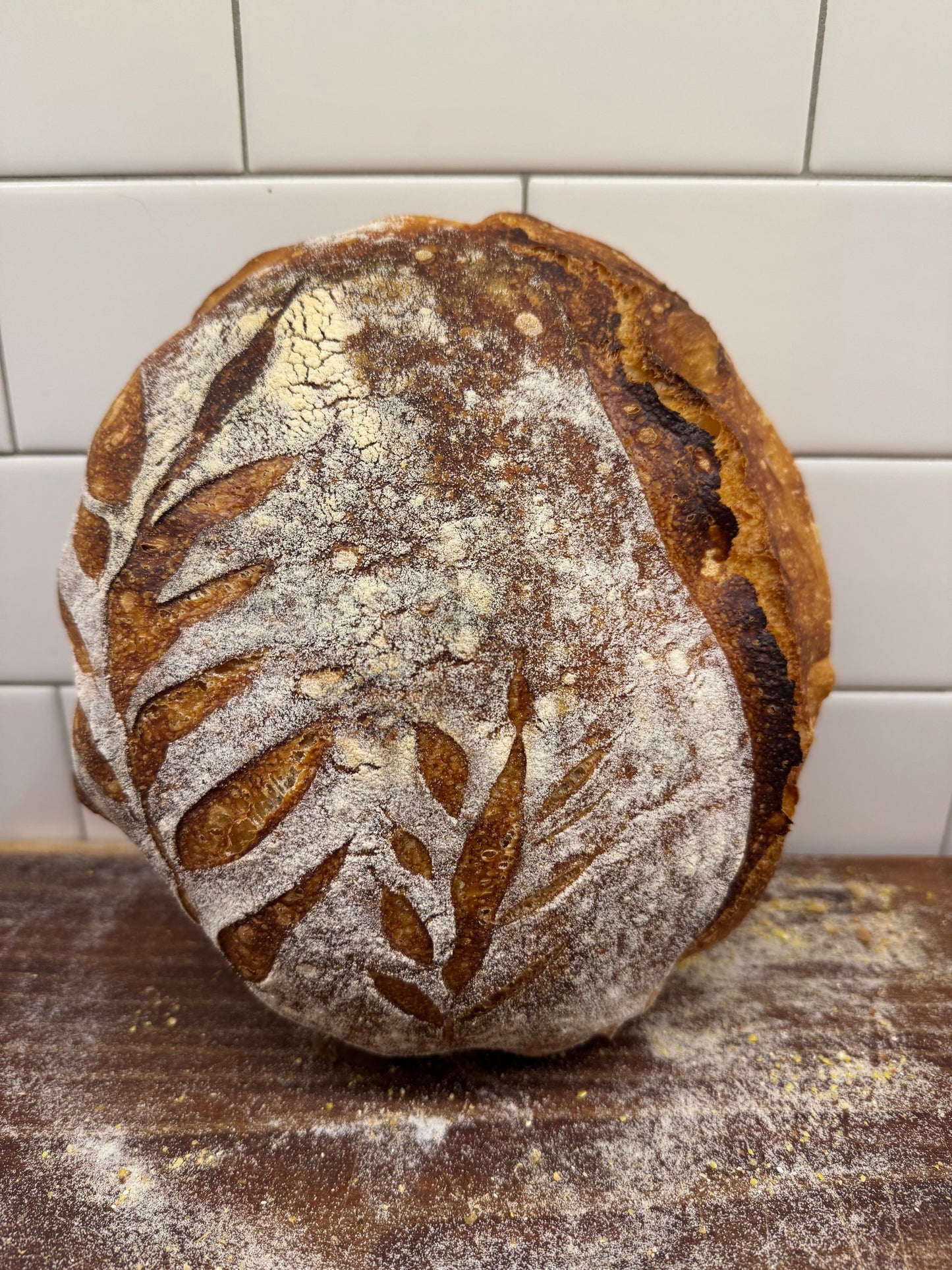 Artisan Sourdough Bread